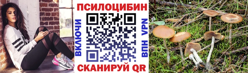 купить наркотик  блэк спрут ТОР  Галлюциногенные грибы Psilocybine cubensis  Игра 